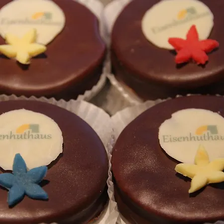 فندق Eisenhuthaus بويزدورف